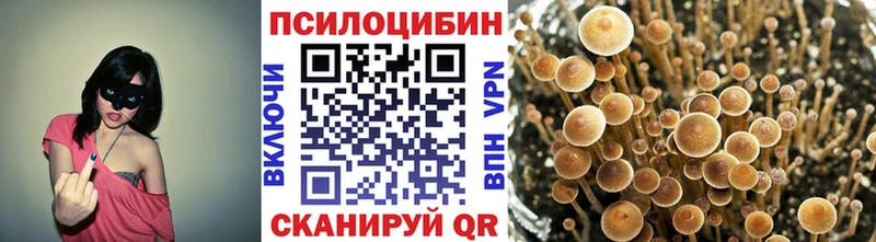 где купить наркоту  Ишимбай  Галлюциногенные грибы Psilocybe 